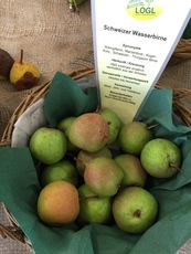 Schweizer Wasserbirne.jpg